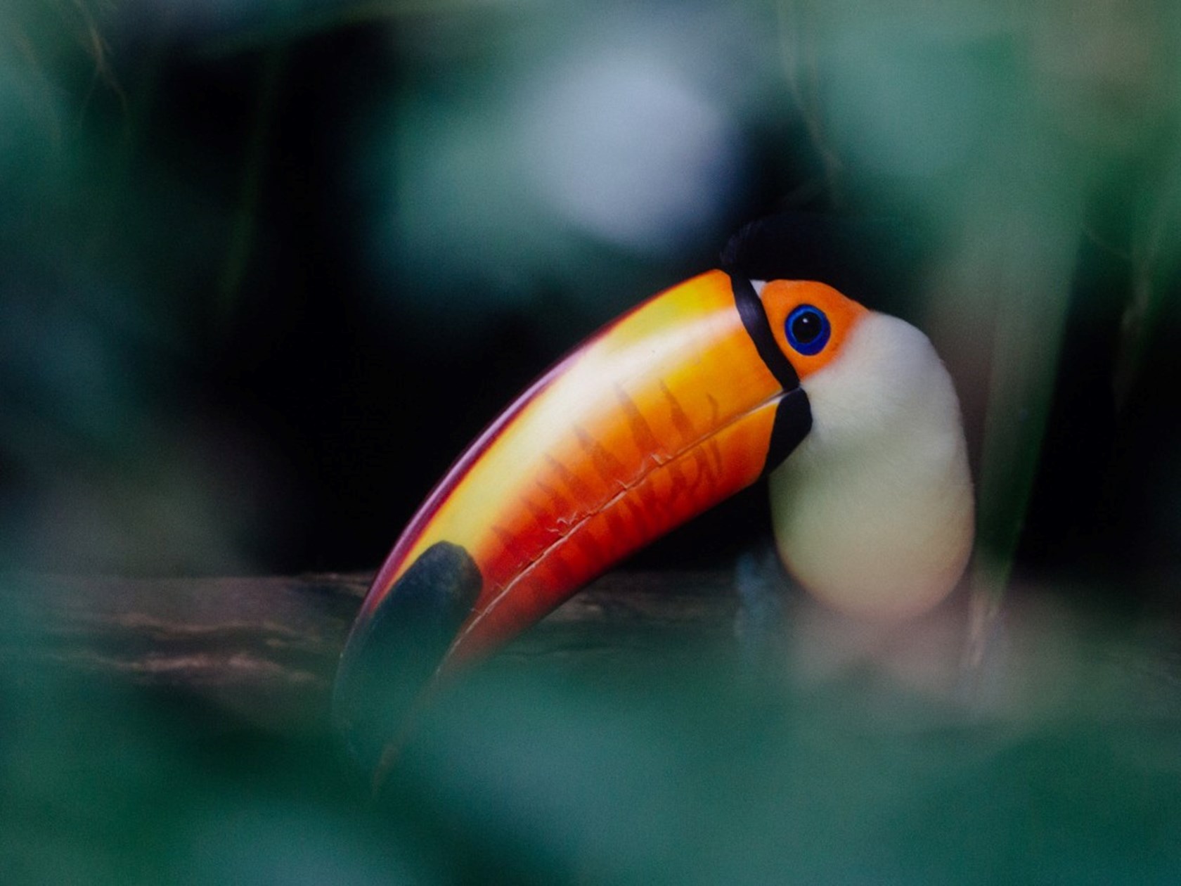 What will Brazil’s implementation COP deliver?