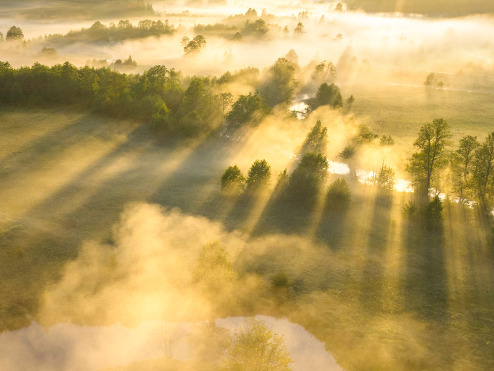Nature-smart mining: Opportunities to reduce the nature impact of mining and metals