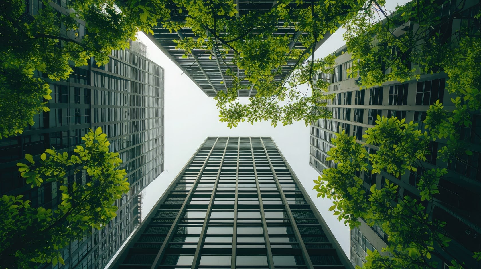 Trellis Impact 26 Insights: Where Innovation Powers Sustainable Business