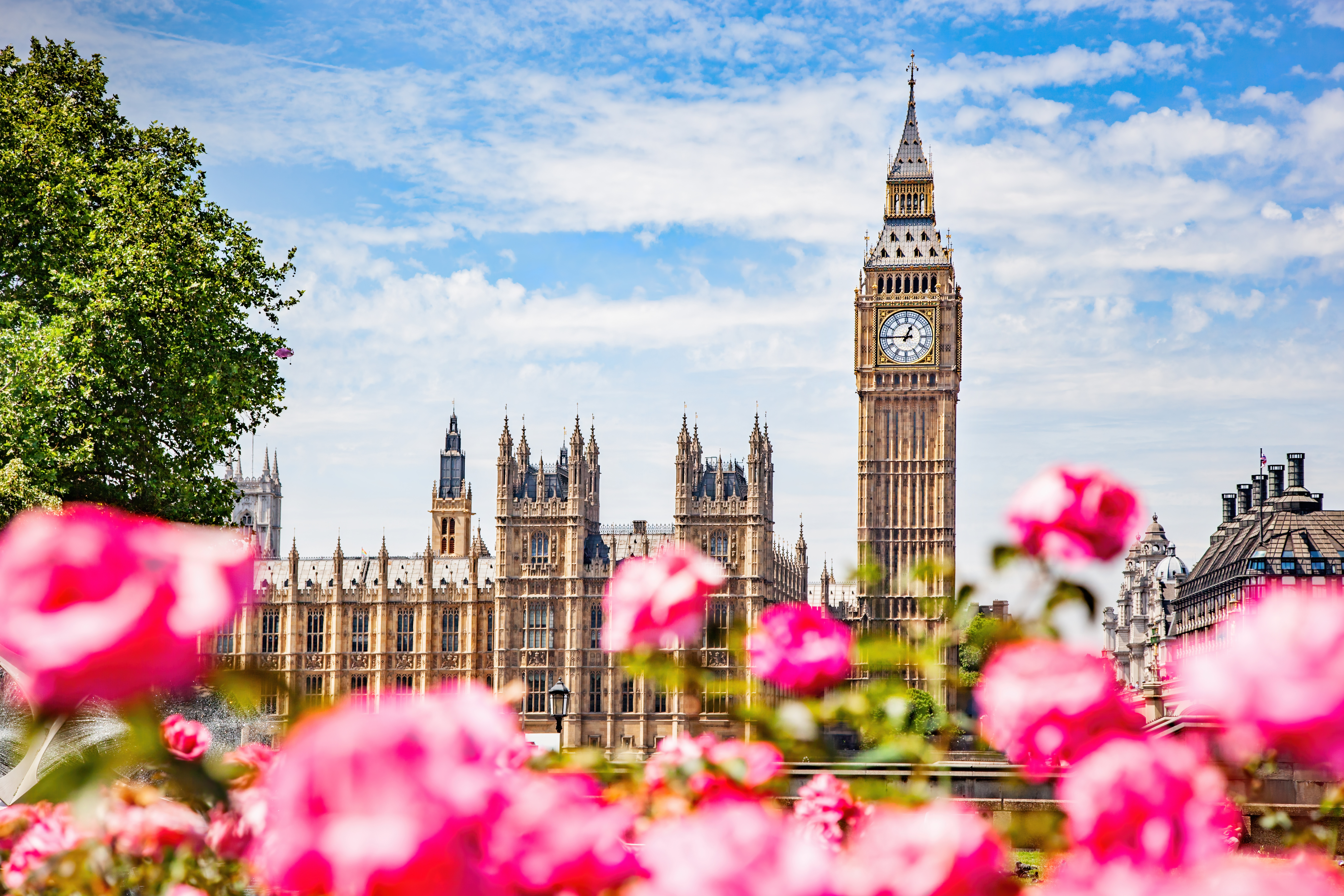 London Climate Action Week 2026