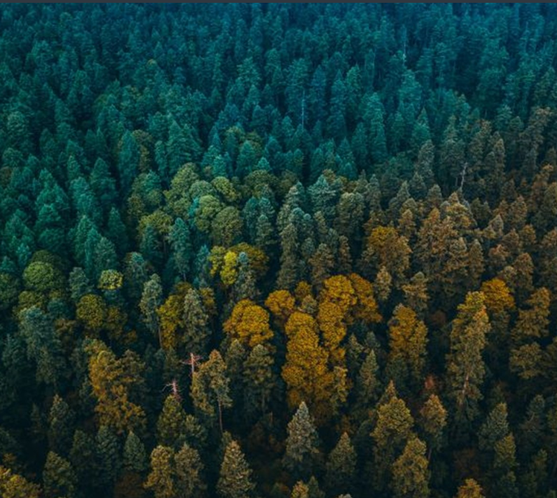 Mitigate Greenwashing risks while maintaining market advantage through communication