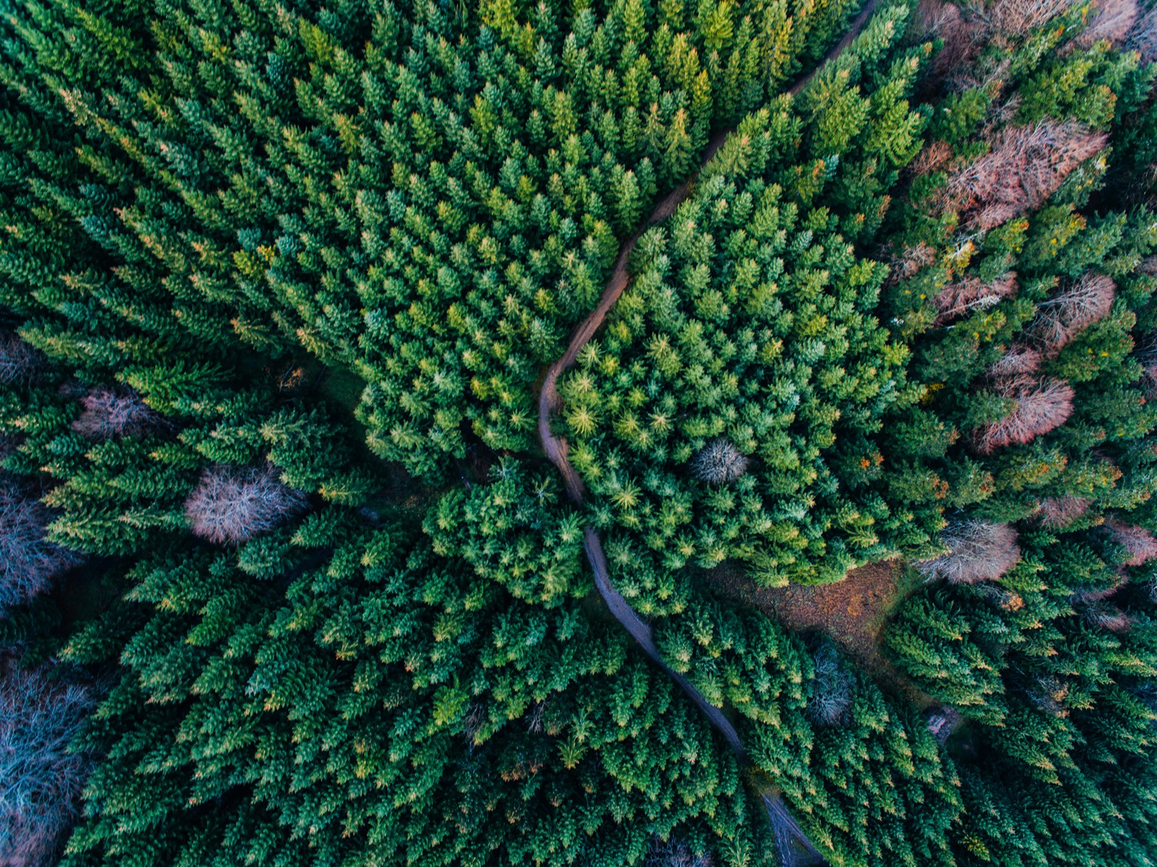 Episode 42: Beyond the bees and the birds - The business case for nature