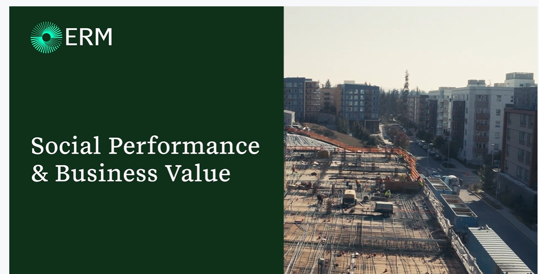 Social performance and business value 