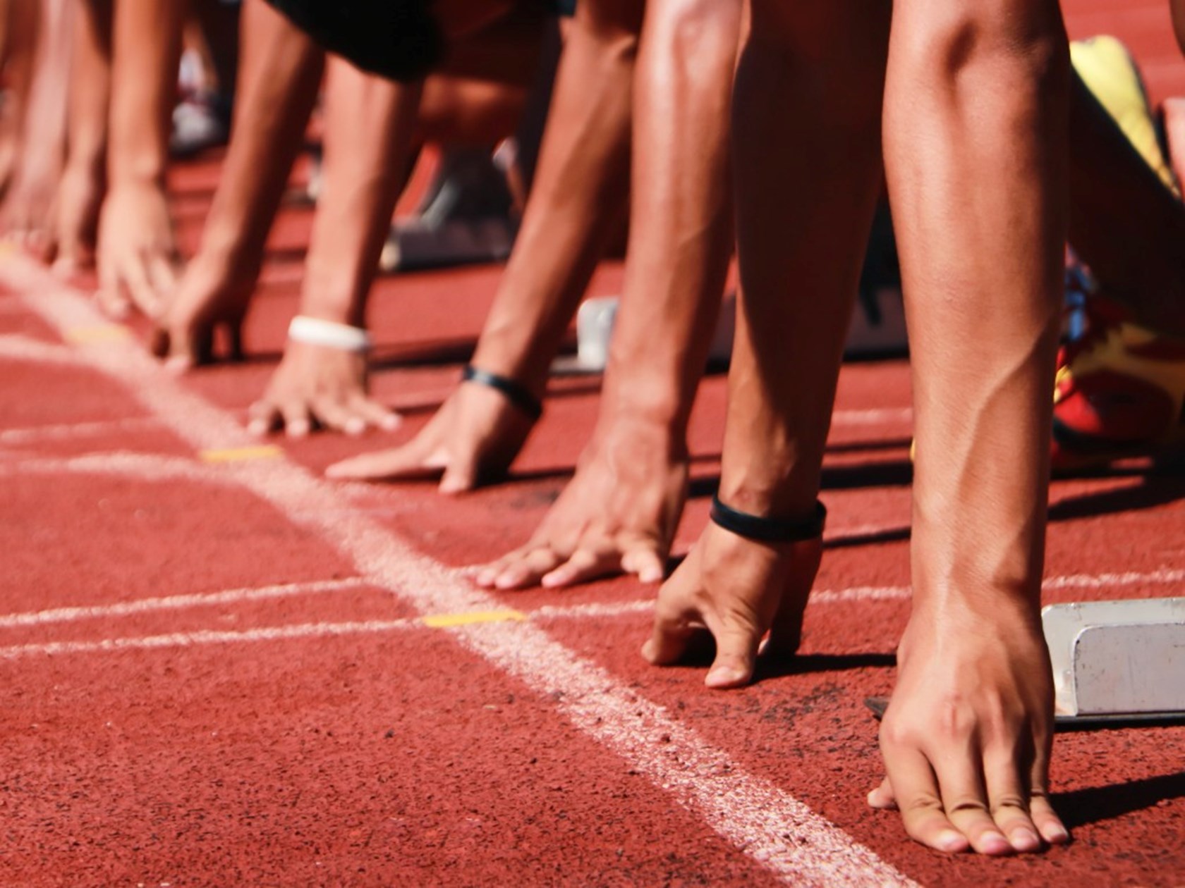 On your marks - download the policy alert